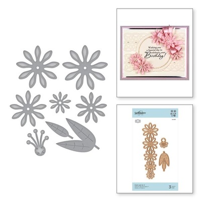 Ножі для вирубки від Spellbinders - Shapeabilities Cinch and Go V Etched Dies Vintage Treasures by Becca Feeken