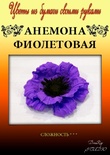 Набір паперу для виготовлення квітів - анемона фіолетова