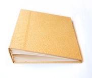 Заготовка для фотоальбома Фабрика Декора - Золотая кожа, 20х20 см