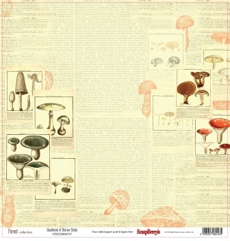 Бумага для скрапбукинга от ScrapBerry's - Справочник грибника, В лесу, 30,5х30,5 см, 190 гр/м., двусторонняя