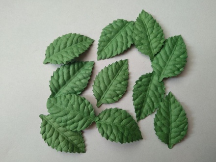 Листики, цвет мятный, 40х25мм, 10 шт.