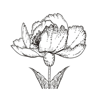 Акриловый штамп FL035 Цветок, размер 3,8 * 3,8 см