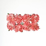 Айстри з паперу, рожеві, 8 шт.