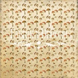 Лист односторонней скрапбумаги 6 Botany autumn, ТМ Фабрика Декору