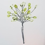 Мини-веточки с акриловыми капельками от Scrapberry's, ЗЕЛЕНЫЕ