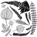 Штампи від IOD - Fronds 12x12 Decor StampTM, 30x30 см