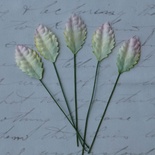 Листочки, колір білий з зеленим, розмір - 25мм, 10 шт.