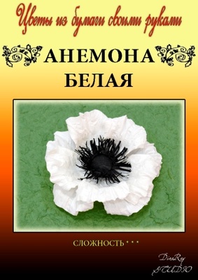 Набір паперу для виготовлення квітів - анемона біла