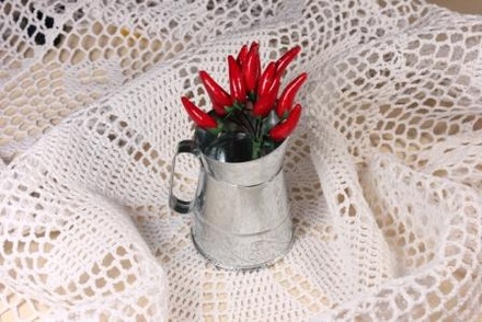 Набір прикрас - Перчики - 28x9 мм, 12 шт. HY001001048 - 1