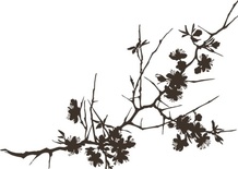 Акриловый штамп FL023 Ветви дерева, размер 3,8 * 2,7 см