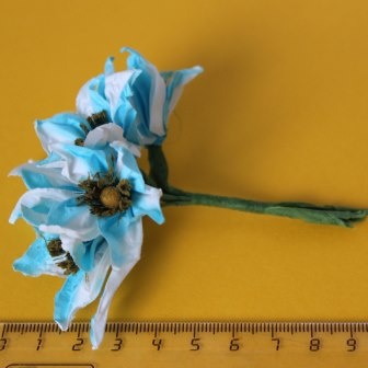 Квітибіло-беризові, діаметр 3-4 см, 6 шт.