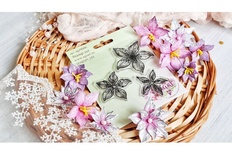 Набір штампів "Ельфійські квіти" від AgiArt