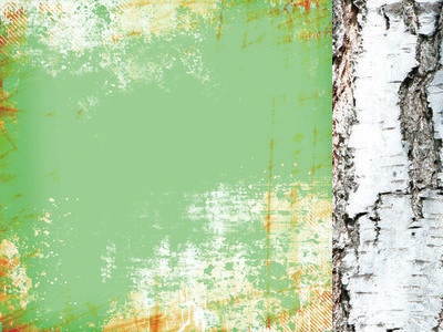 Аркуш скрап-паперу від Kaisercraft - BARK - BASE COAT