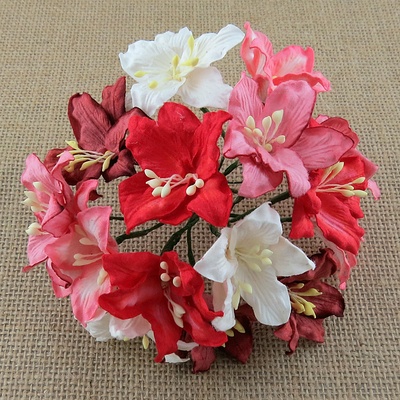 Лилии от Thailand, микс-набор: красные и белые, 30 мм, 50 шт.