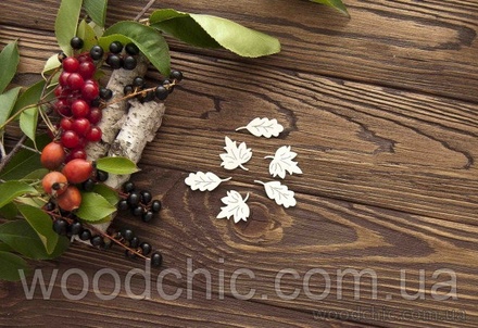 Чипборд Набір кленове і дубове листя від WOODchic, 2.5 на 2.5см