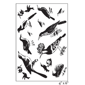 Акрилові штампи від Maya Road "Ornate FeatheRed Friends", 10x15,2см, 13 шт.