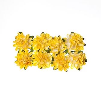 Айстри з паперу, ніжні-жовті, 8 шт.