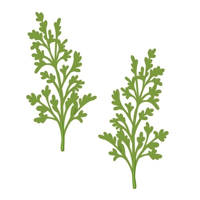 Ніж для вирубки Sue Wilson - Finishing Touches Collection Maidenhair Fern Die