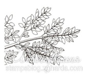 Акриловый штамп FL015 Ветка дерева, размер 4,1 * 2,8 см