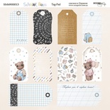 Аркуш двостороннього паперу для скрапбукінгу від Scrapmir - Tag-Pad - School Days, 20x20cм